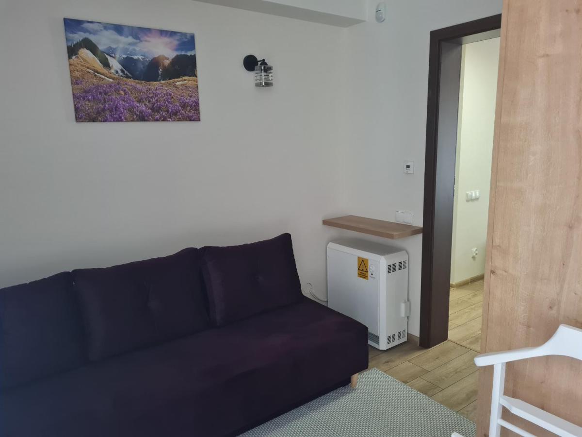 Apartamenty Convallis Kościelisko Exterior foto